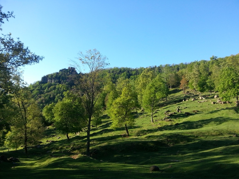 7A CAMES DE FERRO AL PUIGSACALM 12 KM - CATEGORIA JUVENIL - Inscriu-te