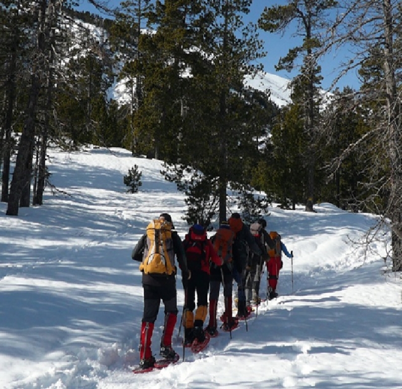 MONOGRÀFIC D'EXCURSIONISME HIVERNAL UNIÓ EXCTA. SANT MARTI PROVENÇALS (C.P) - Inscriu-te