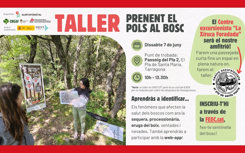TALLER ALERTA FORESTAL: PRENENT EL POLS AL BOSC - Inscriu-te
