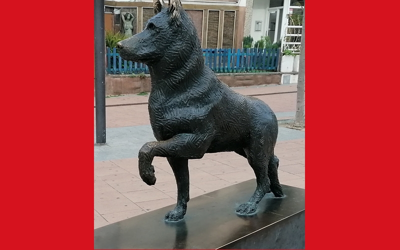 VII MARXA LA LLOPA PETITA - Inscriu-te VII MARXA LA LLOPA PETITA - Inscriu-te